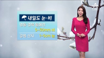 [날씨]내일 다시 기온 뚝 떨어져…결빙+안개 주의