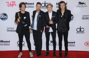 Louis Tomlinson 'doesn't always see eye to eye' with 1D bandmates
