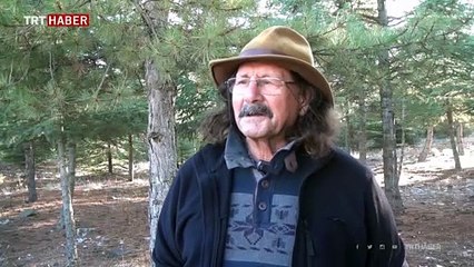 Ormanda karşılaştığı tilki en yakın dostu oldu