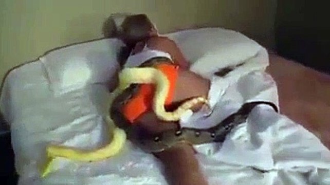 Elle se réveille avec 3 serpents dans le lit