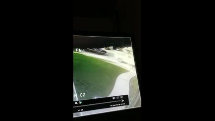 UPS employee tosses package into yard in Bakersfield