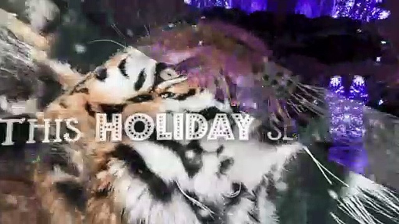 Happy Holidays From CZS and Brookfield Zoo!