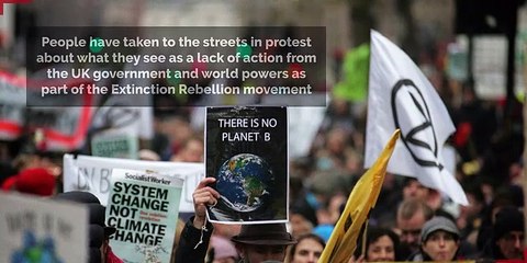 These are ways you can help fight climate change