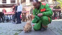 Beresini, üşümesin diye sokak kedisine takan temizlik işçisi fenomen oldu