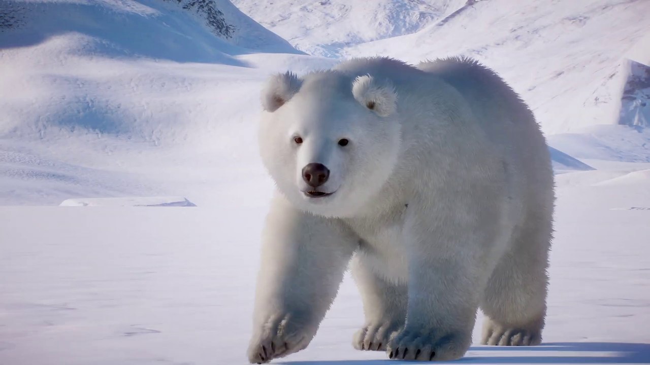 Planet Zoo - Bande-annonce de lancement du Arct...