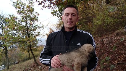 Deltari Ilir - Në Shtëpinë Tonë, 17 Dhjetor 2019, Pjesa 5