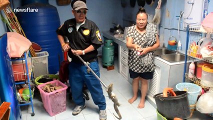Thai housewife finds monitor lizard hiding under washing machine
