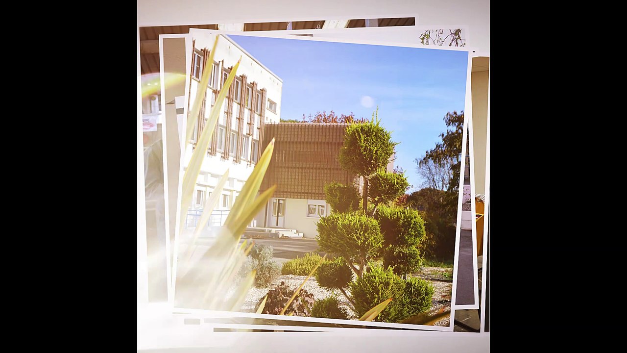 Portfolio TNLA 2020 VIC