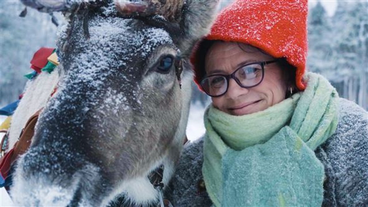 Die rentier-elfe hat ihren traumjob gefunden
