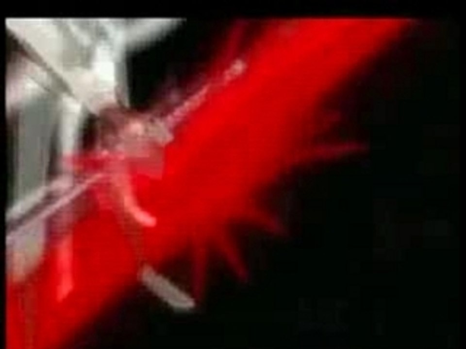 amv bleach animal I have become