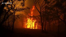 Immense flames engulf bushland near Mount Tomah and Bilpin in Blue Mountains National Park Australia