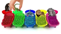 ZOO Safari Toys Wrong Heads Learn Colors With Bathtubs And Beads Colorful Finger Paints paint