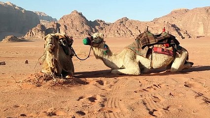 الأردن قبلة صناع السينما العالمية
