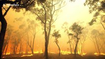 Close-up footage of bush fires raging through Blue Mountains near Sydney Australia