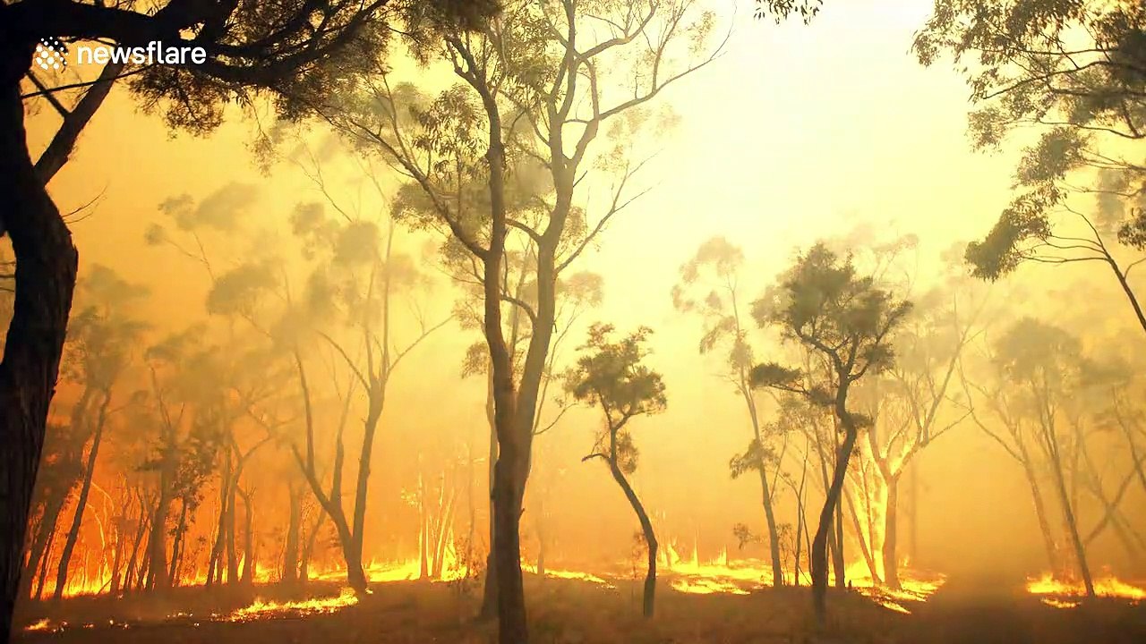 Close-up footage of bush fires raging through Blue Mountains near ...