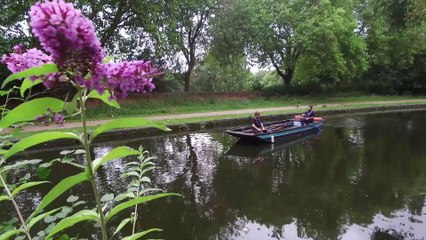 Polluting Threat To Birmingham's Otter Population!