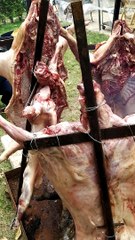 asado medieval la bambina