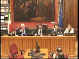 Roma - ​Audizioni sulle nuove norme per la cittadinanza (17.12.19)