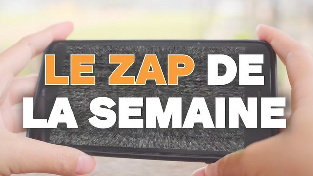 Le ZAP de la semaine #198 : des animaux, des gros fails et un Noël XXL !