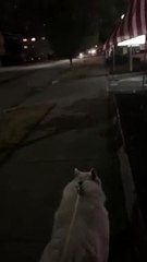 Truck Seems to be in Trouble