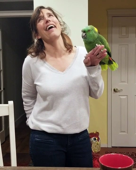 Parrot Puts on a Perfect Performance