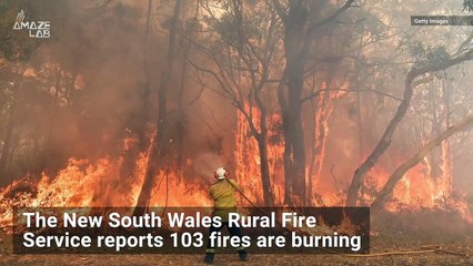 NASA Captures Australia Bushfires Raging On from Space