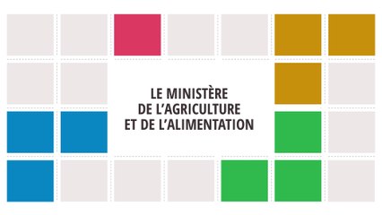Animation : Un ministère du vivant, ancré dans les territoires