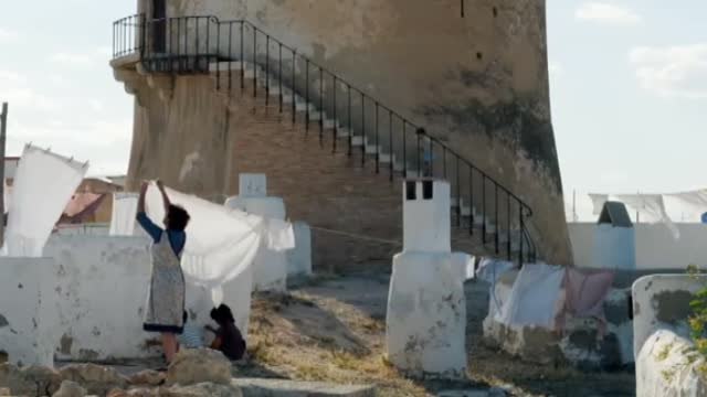 Dolor y Gloria , una de las favoritas a mejor película internacional en los Oscar