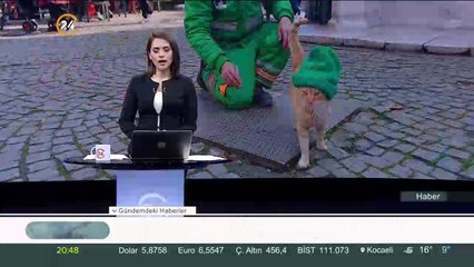 Çizmeli değil "bereli" kedi sosyal medya fenomeni oldu