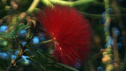 GOODLINES: 18th December 2019