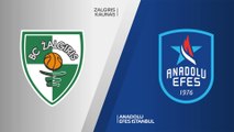 Zalgiris Kaunas - Anadolu Efes Istanbul Highlights | Turkish Airlines EuroLeague, RS Round 14