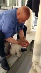 Maneviyat İçin Sadece Dini Vecibeleri Yerine Getirmek Yetmez, İlk Başta Merhametli Olacağız