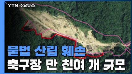 항공사진으로 추적한 불법 산림 훼손...축구장 만 천여 개 규모 / YTN