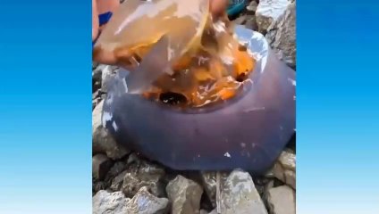 Surprise, all the geniuses of this world are interesting to see#9