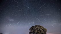 Saturday's Winter Solstice Coincides With a Special Display of Shooting Stars