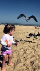 (MUST WATCH) Your daily dose of cuteness 