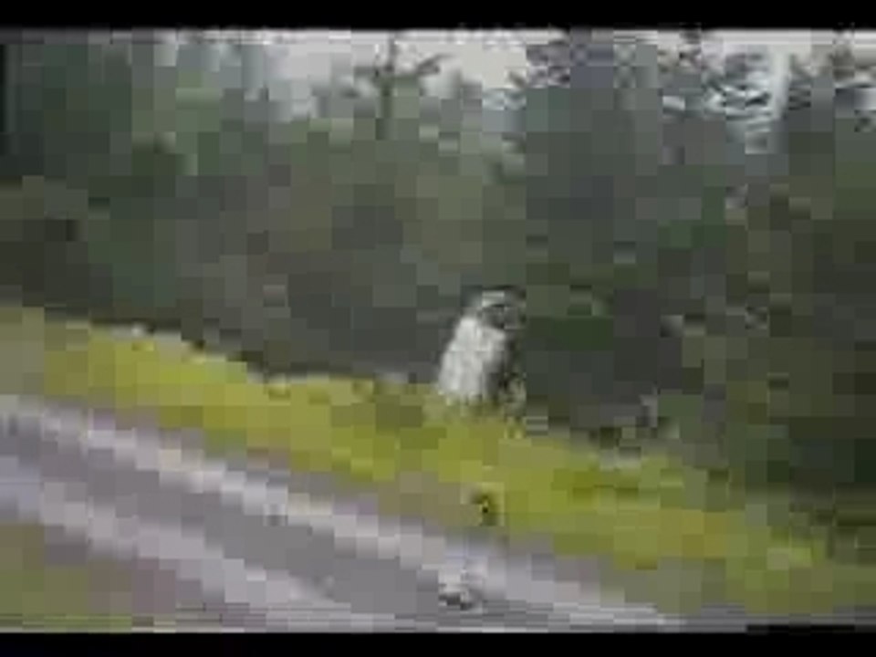 Crashes