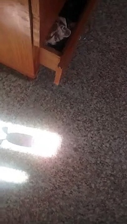 20191215_145015