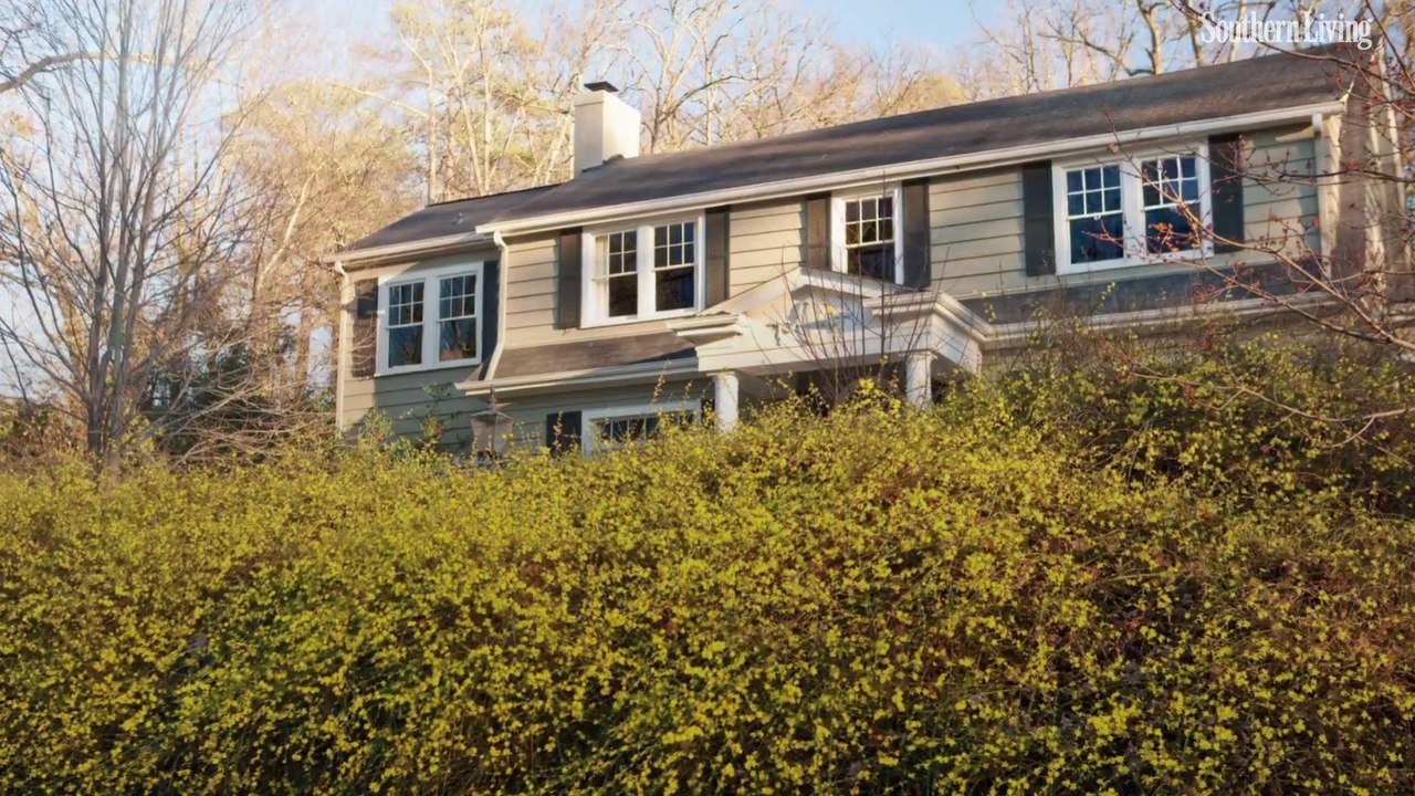 Winter Jasmine Planting Guide