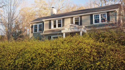 Winter Jasmine Planting Guide