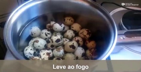 COMO EU NÃO SABIA DISSO ANTES SIMPLES OVO DE CODORNA Para EJACULAÇÃO PRECOCE FAZ ISSO!