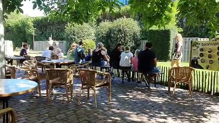 Inne Zoo Niz Znamy W Holandii