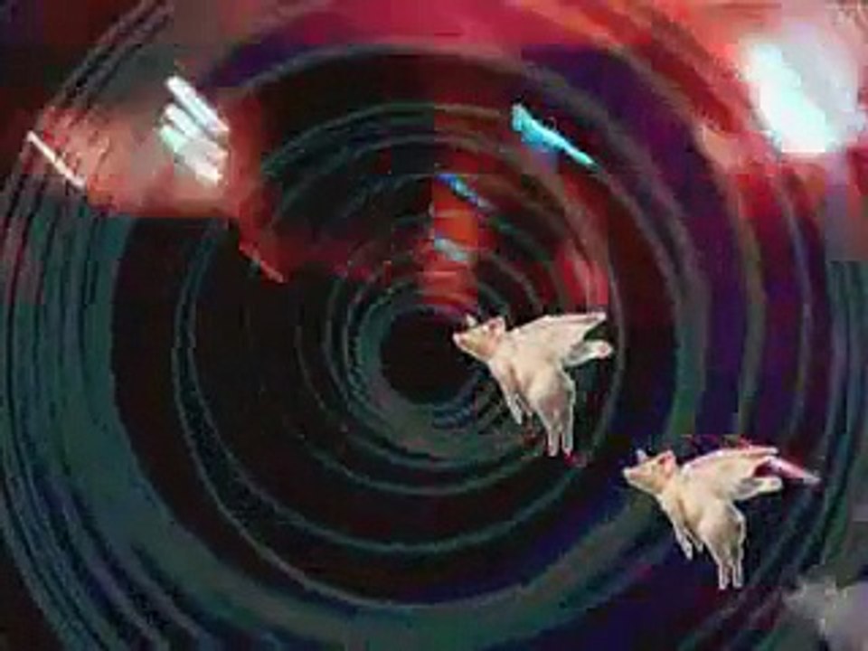 the Flying Pigs - All over - (live 8 décembre 2007) Vanilla café