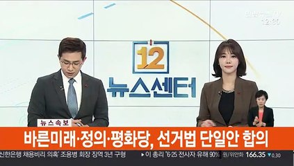 [속보] 바른미래·정의·평화당, 선거법 단일안 합의