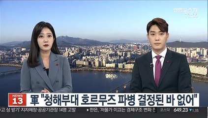 軍 "청해부대 호르무즈 파병 결정된 바 없어"