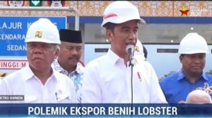Jokowi Tanggapi Polemik Ekspor Benih Lobster