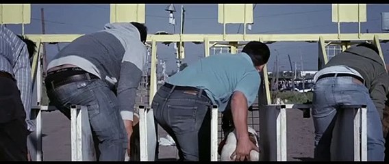 LA MADRE DEL CORDERO / THE MOTHER OF THE LAMB (2015) - TRAILER OFICIAL