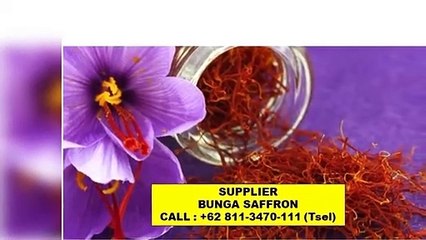 ORIGINAL !! TELP : +62 811-3470-111 (TSEL), Jual Bunga Saffron Surabaya Malang,