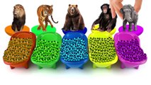 The ZOO Safari Toys Wrong Heads Learn Colors With Bathtubs And Beads Colorful Finger Paints paint