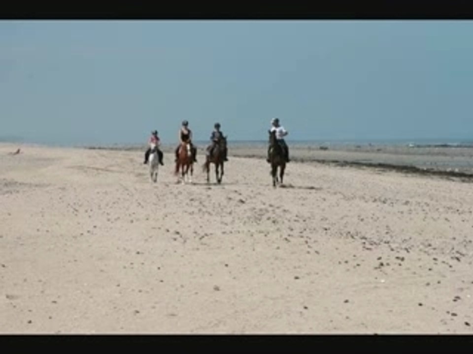 Chevaux sur la plage